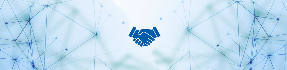 professional services